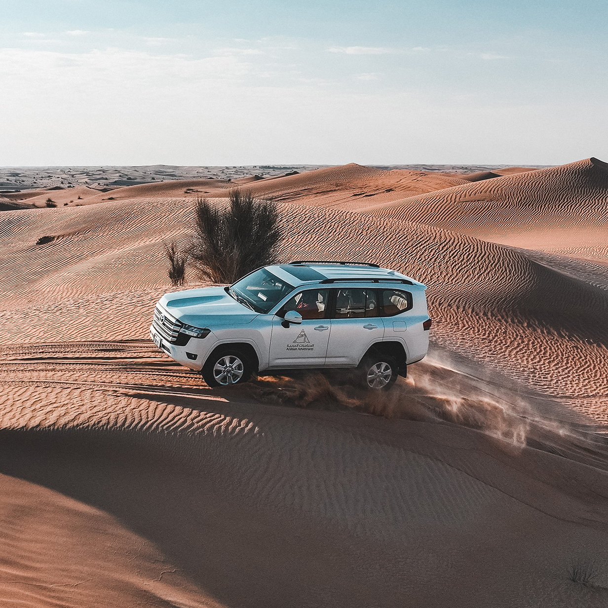 VIP Desert Safari in Dubai - Shared Vehicle, , large