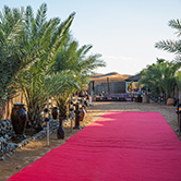 Evening Desert Safari in Dubai - Shared Vehicle, , small