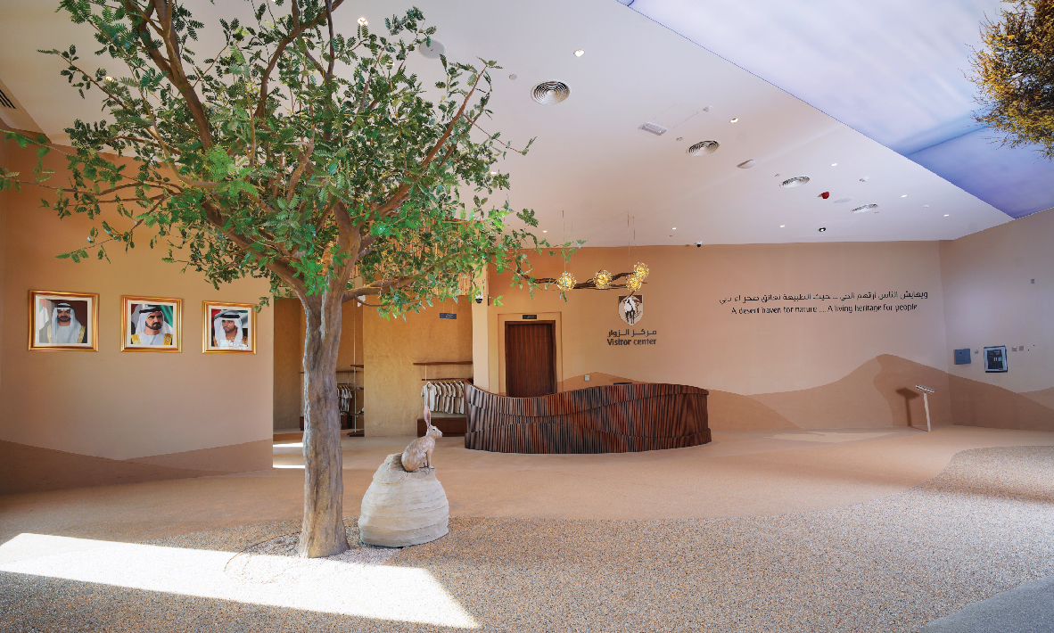 Dubai Desert Conservation Reserve Wildlife Tour, , large