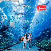 The Adventure Pass, , small