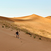 Desert Dune Buggies & Evening Safari Combo - Private Vehicle, , small