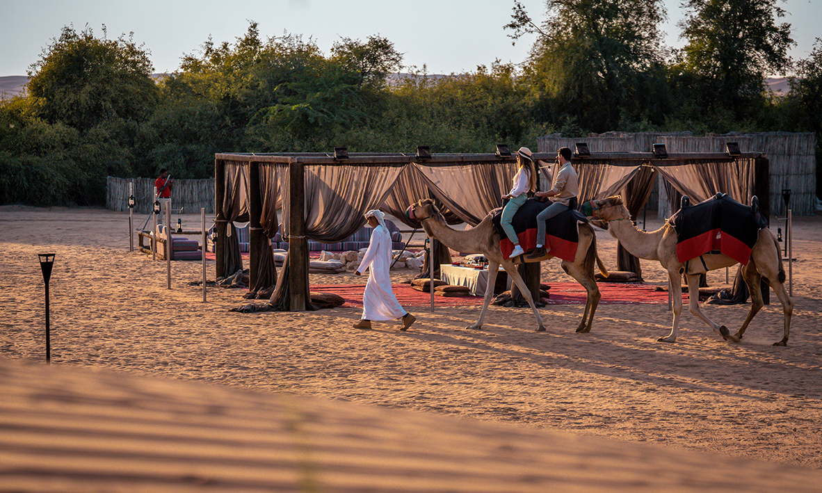 Overnight Safari Double Occupancy - Camp View - Private Vehicle, , large