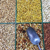 Dubai City Sightseeing Tours, , small