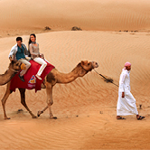 Morning Desert Safari in Dubai - Private Vehicle, , small
