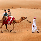 Morning Desert Adventure in Dubai - Private Vehicle, , small