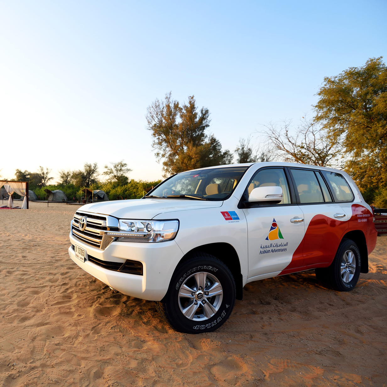 Wildlife Night Drive in Dubai, , large