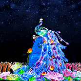 Dubai Garden Glow, , small