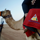 VIP Desert Safari in Dubai - Shared Vehicle, , small