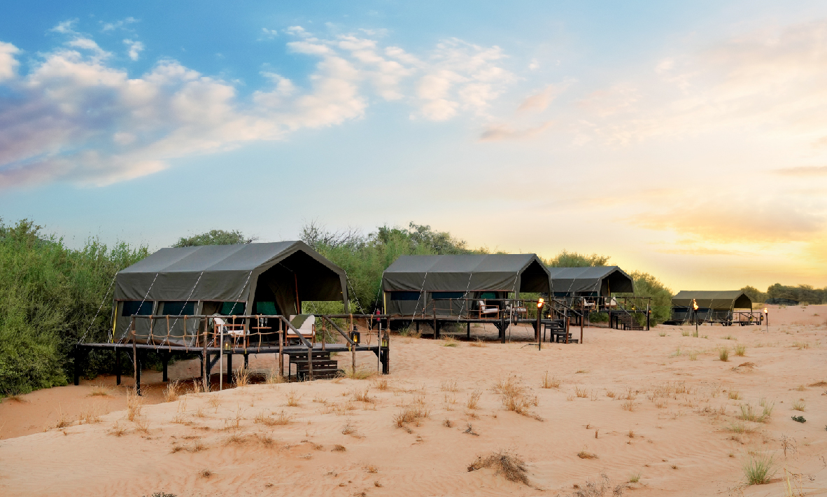 Overnight Safari Double Occupancy - Camp View - Private Vehicle, , large