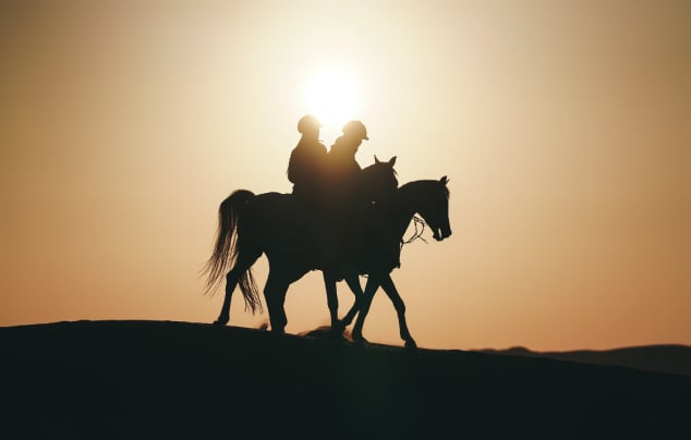 Horseback Ride, , medium