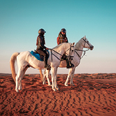 Horseback Ride - Private Vehicle, , small