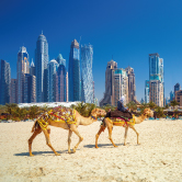 City Sightseeing Hop-on Hop-off Dubai City Tour, , small