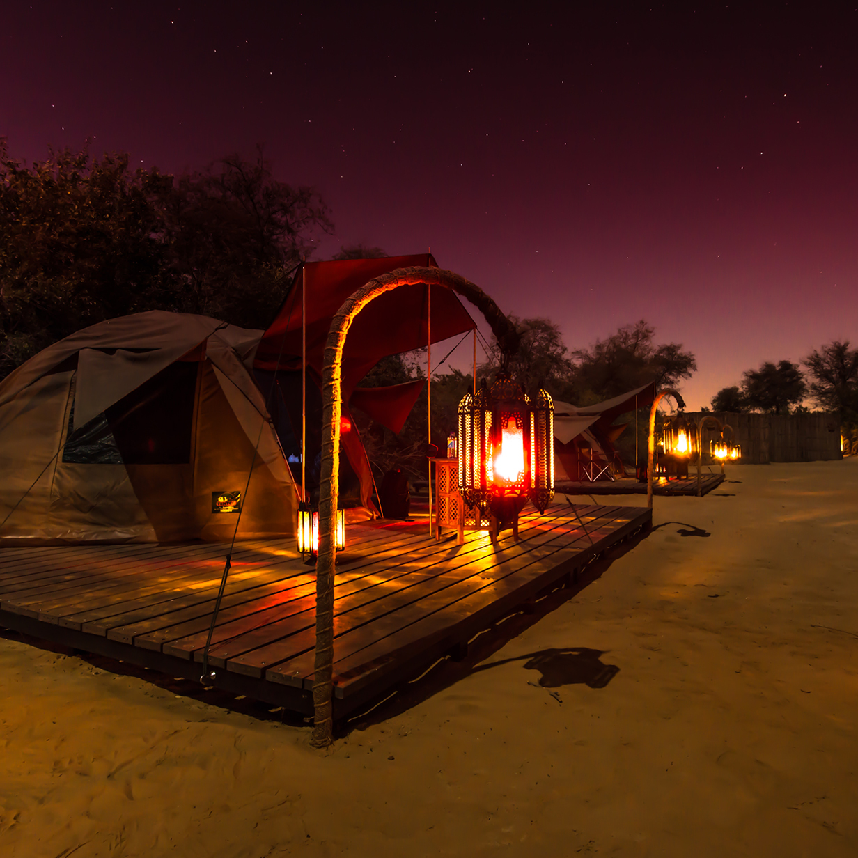 night time desert safari dubai