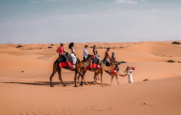 Camel Ride