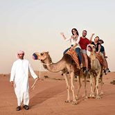 Morning Desert Adventure in Dubai - Shared Vehicle, , small