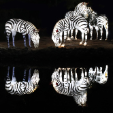 Dubai Garden Glow, , small