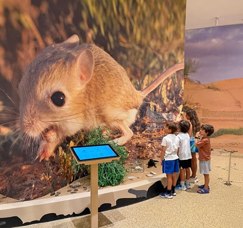 Morning Wildlife Safari, , medium