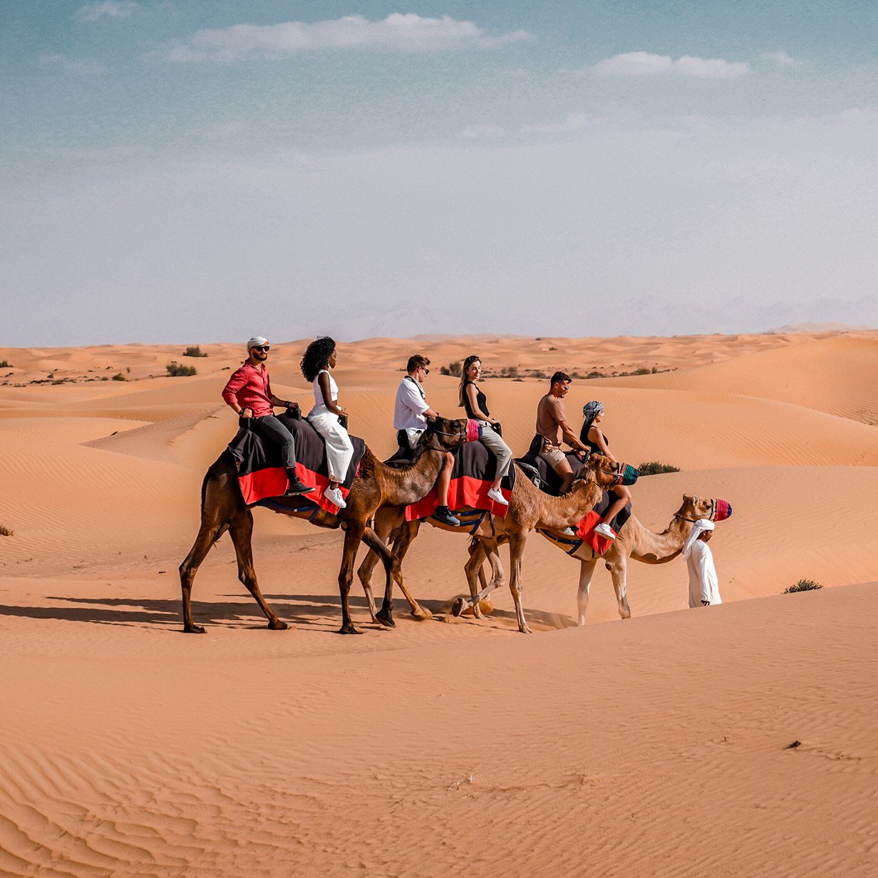 camel safari abu dhabi