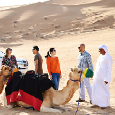 Morning Desert Adventure in Dubai - Shared Vehicle, , small