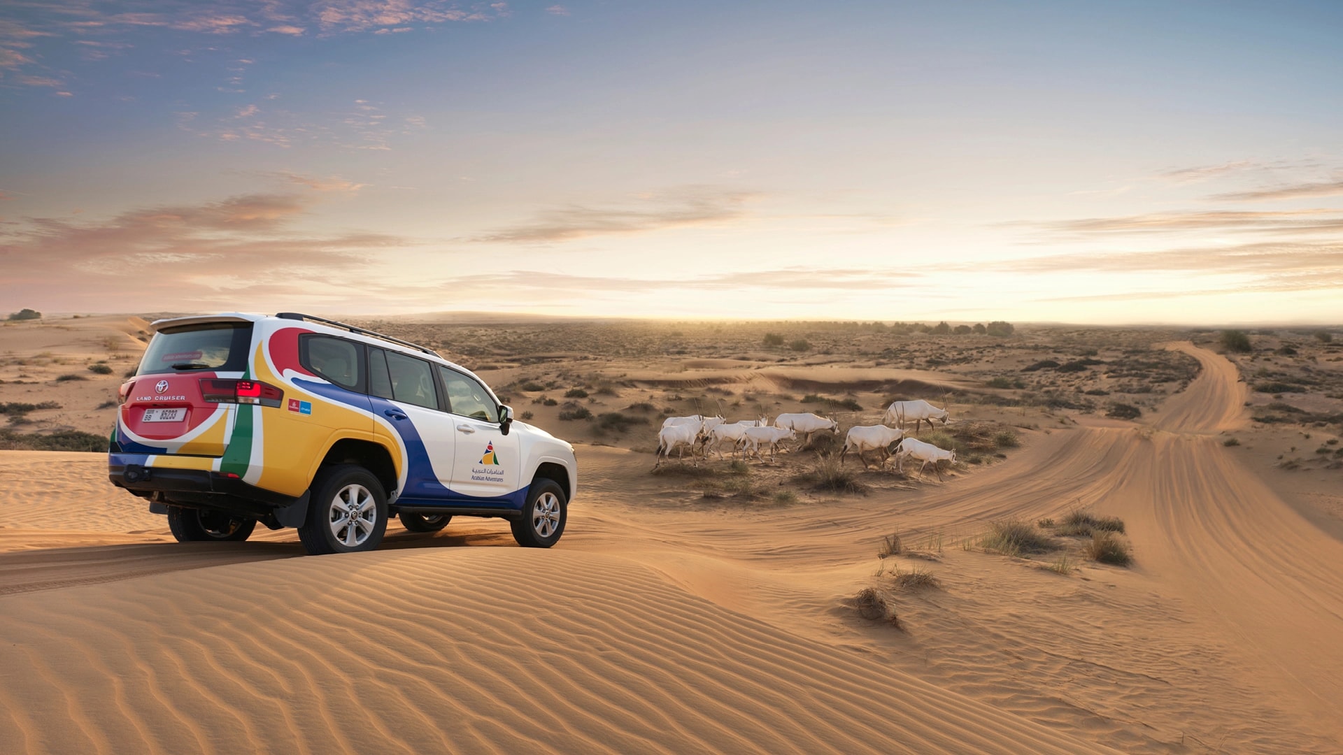 Exclusive Desert Experience, , large