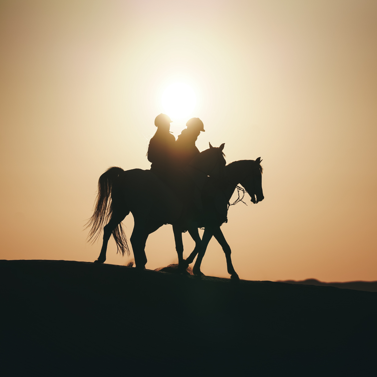 Horseback Ride, , large